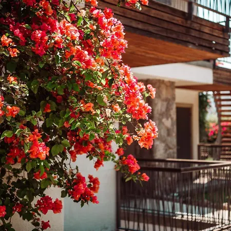 Costa Farilya Special Class Bodrum 5*