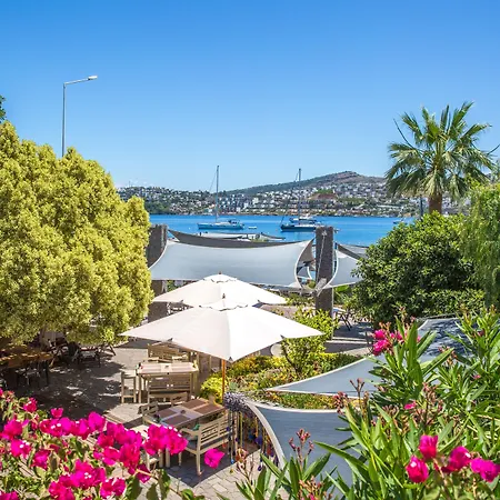 Costa Farilya Special Class Bodrum 5* グンドーガン