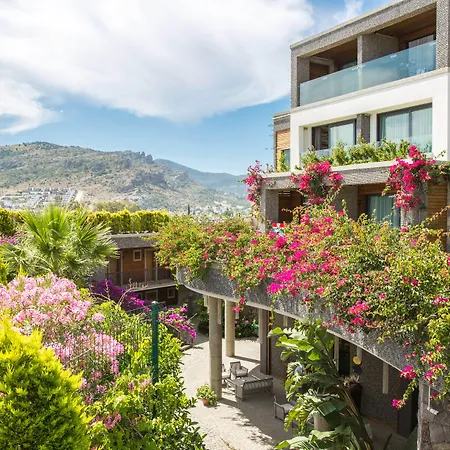 ホテル Costa Farilya Special Class Bodrum