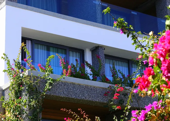 Costa Farilya Special Class Bodrum