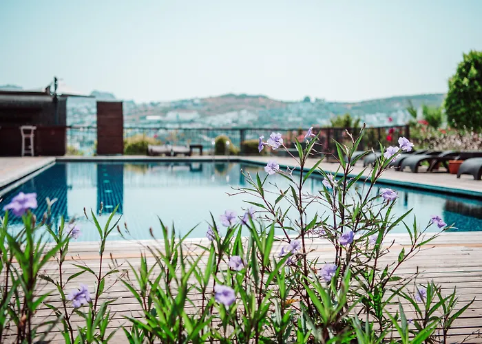 Costa Farilya Special Class Bodrum Hotel