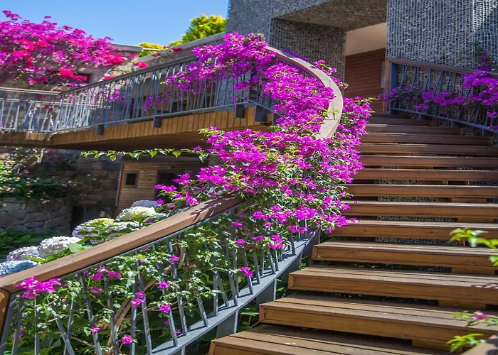 Costa Farilya Special Class Bodrum