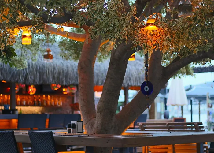 Costa Farilya Special Class Bodrum Hotel Gundogan (Bodrum)