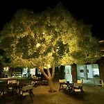 Costa Farilya Special Class Bodrum גונדוגן