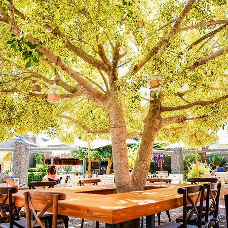 كوستا فاريليا سبيشيال كلاس بودروم 5*