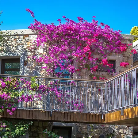 Hotell Costa Farilya Special Class Bodrum