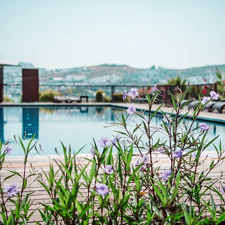 Costa Farilya Special Class Bodrum Hotell