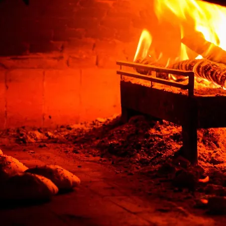 Costa Farilya Special Class Bodrum Hotel