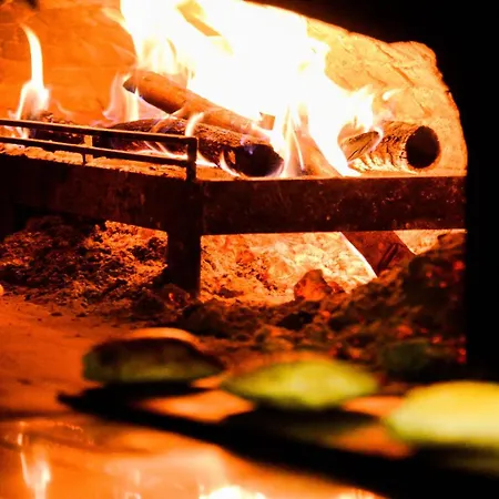 Costa Farilya Special Class Bodrum Gundogan (Bodrum)