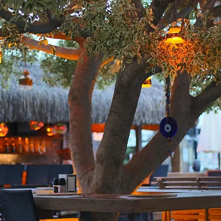 Costa Farilya Special Class Bodrum Hotel Gündoğan