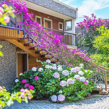 Hotel Costa Farilya Special Class Bodrum