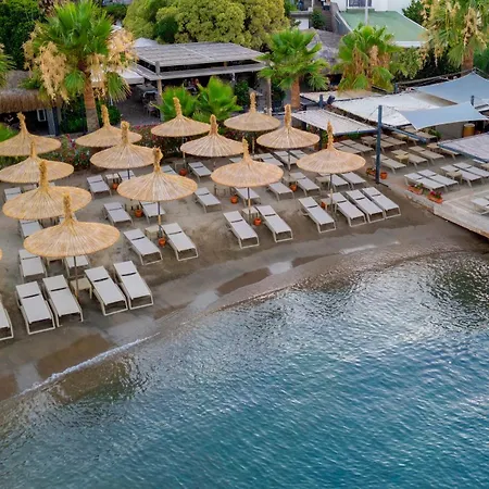 Costa Farilya Special Class Bodrum