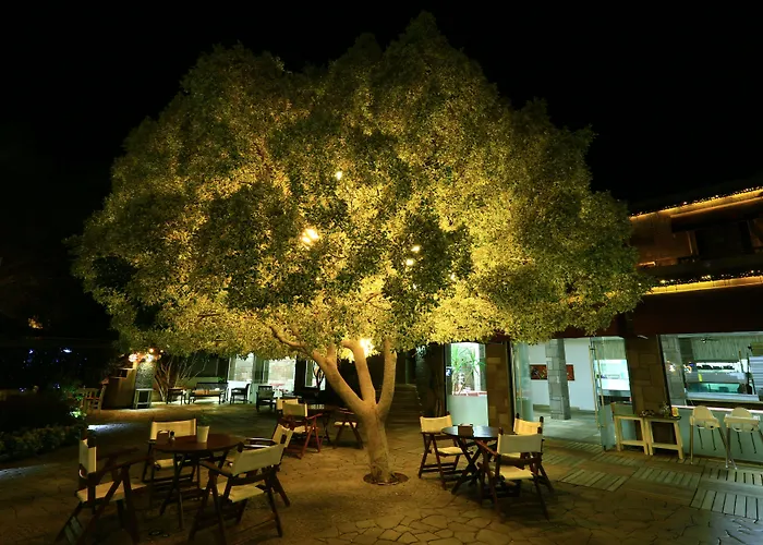 Costa Farilya Special Class Bodrum Gündoğan