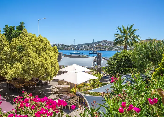 Costa Farilya Special Class Bodrum 5* Gundogan (Bodrum)