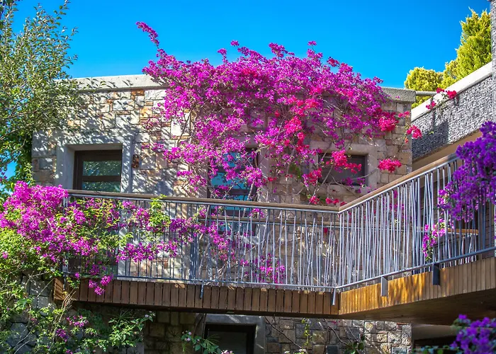 Szálloda Costa Farilya Special Class Bodrum